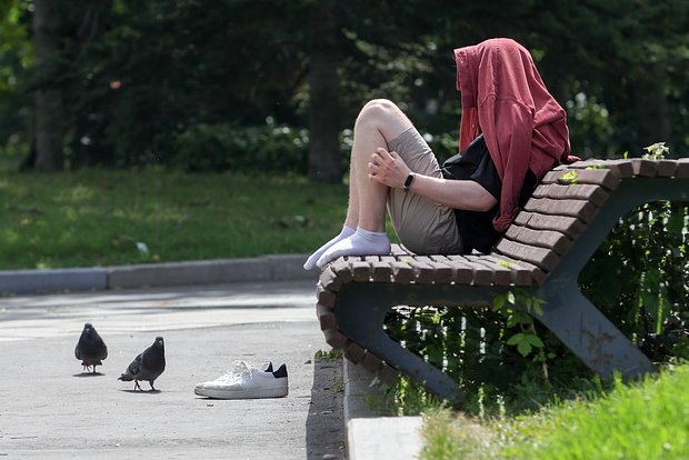 Вводная картинка