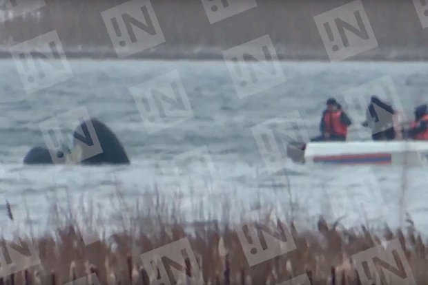 Вводная картинка