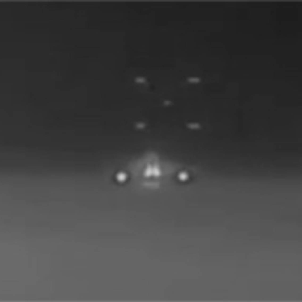 &laquo;Метание икры&raquo; российской &laquo;Геранью&raquo; показали на видео