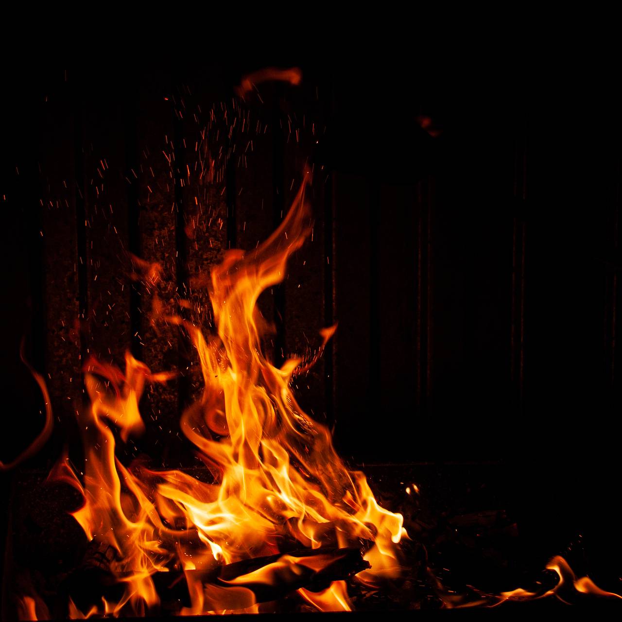 Фото: Svetlana Vozmilova / Global Look Press