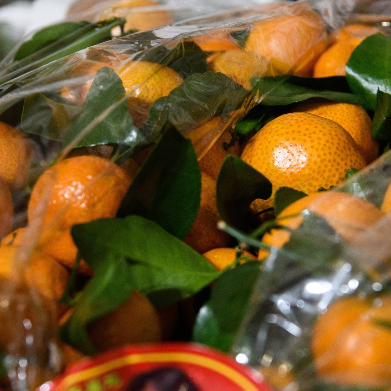 Россиян предупредили о штрафах за незаконную торговлю мандаринами и елками