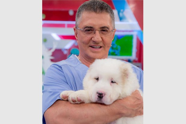 Вводная картинка