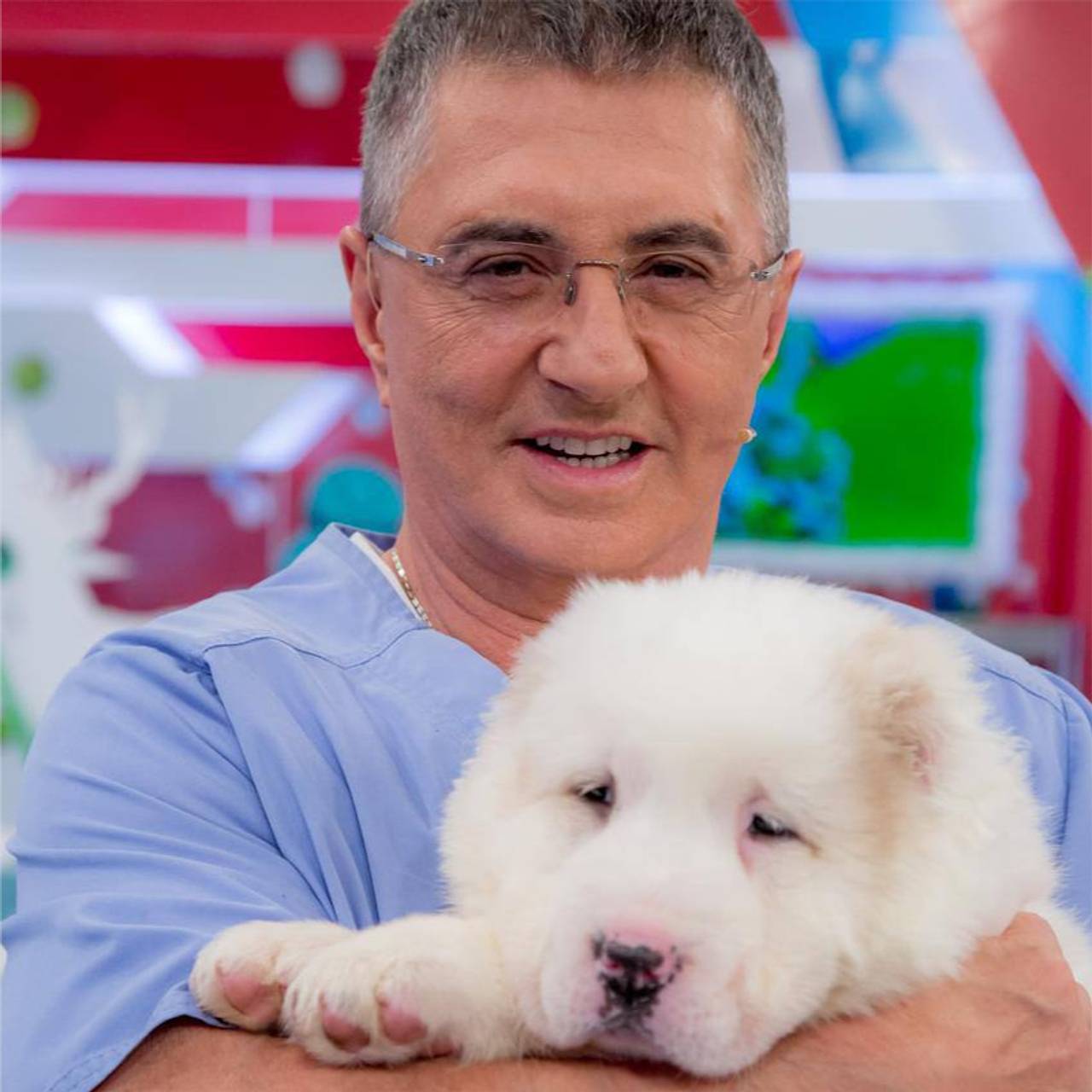 Доктору Мясникову подарили собаку