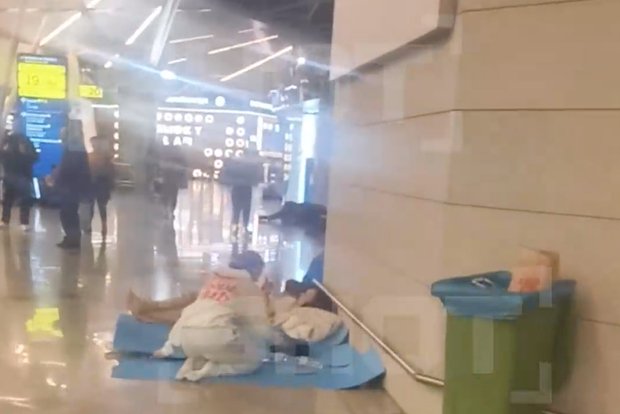 Вводная картинка