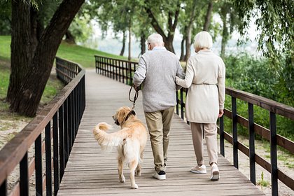Блогерша побывала в Европе и сравнила жизнь местных пенсионеров с жизнью российских