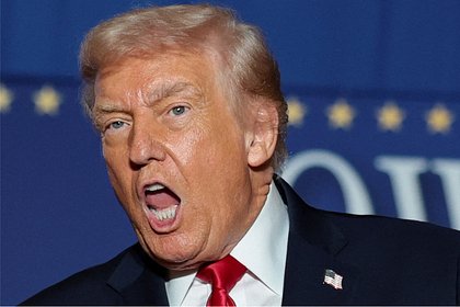 Зеленский понадеялся на одно действие Трампа взамен приглашения Украины в НАТО