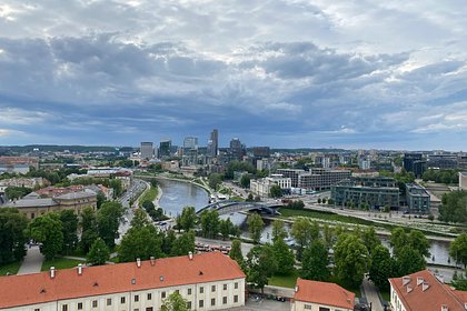 В Литве заявили об общенациональном объединении перед угрозой белорусских шаров
