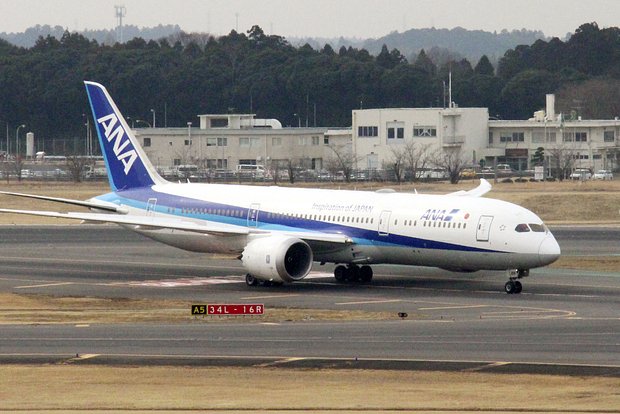 Самолет ANA повредили птицы при посадке в Японии