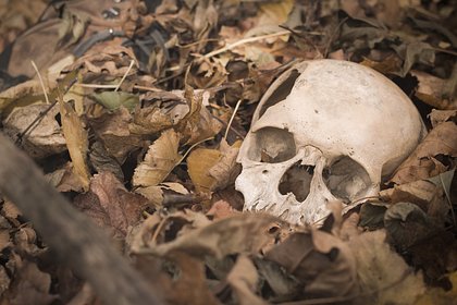Мужчина несколько лет хранил скелеты родителей в саду