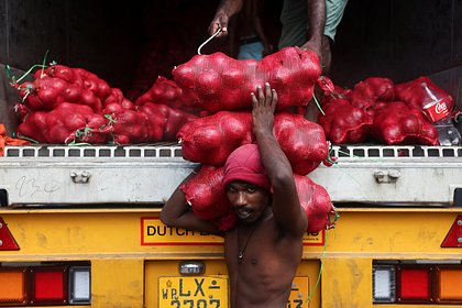 В Шри-Ланке заявили о готовности наладить приезд трудовых мигрантов в Россию