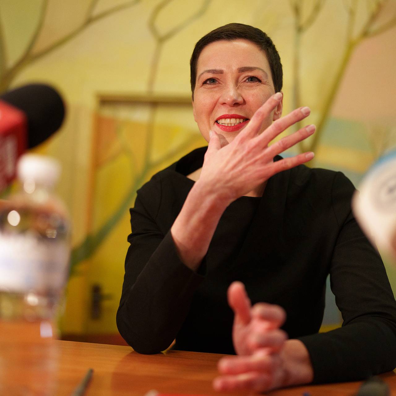 Колесникова поблагодарила Зеленского и Лукашенко за два действия