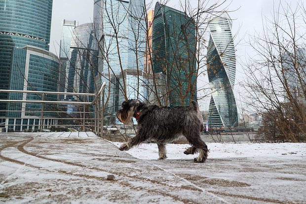 Вводная картинка