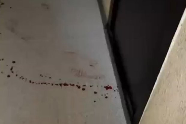 Вводная картинка