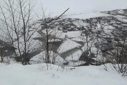 Более 200 баранов провалились под лед в Башкирии