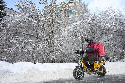 Курьеры в России стали богаче