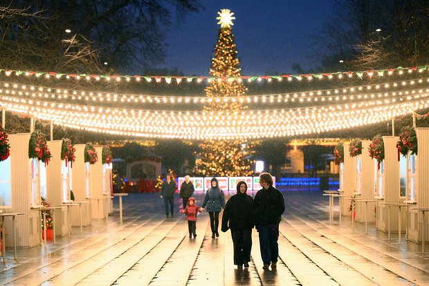 Вводная картинка