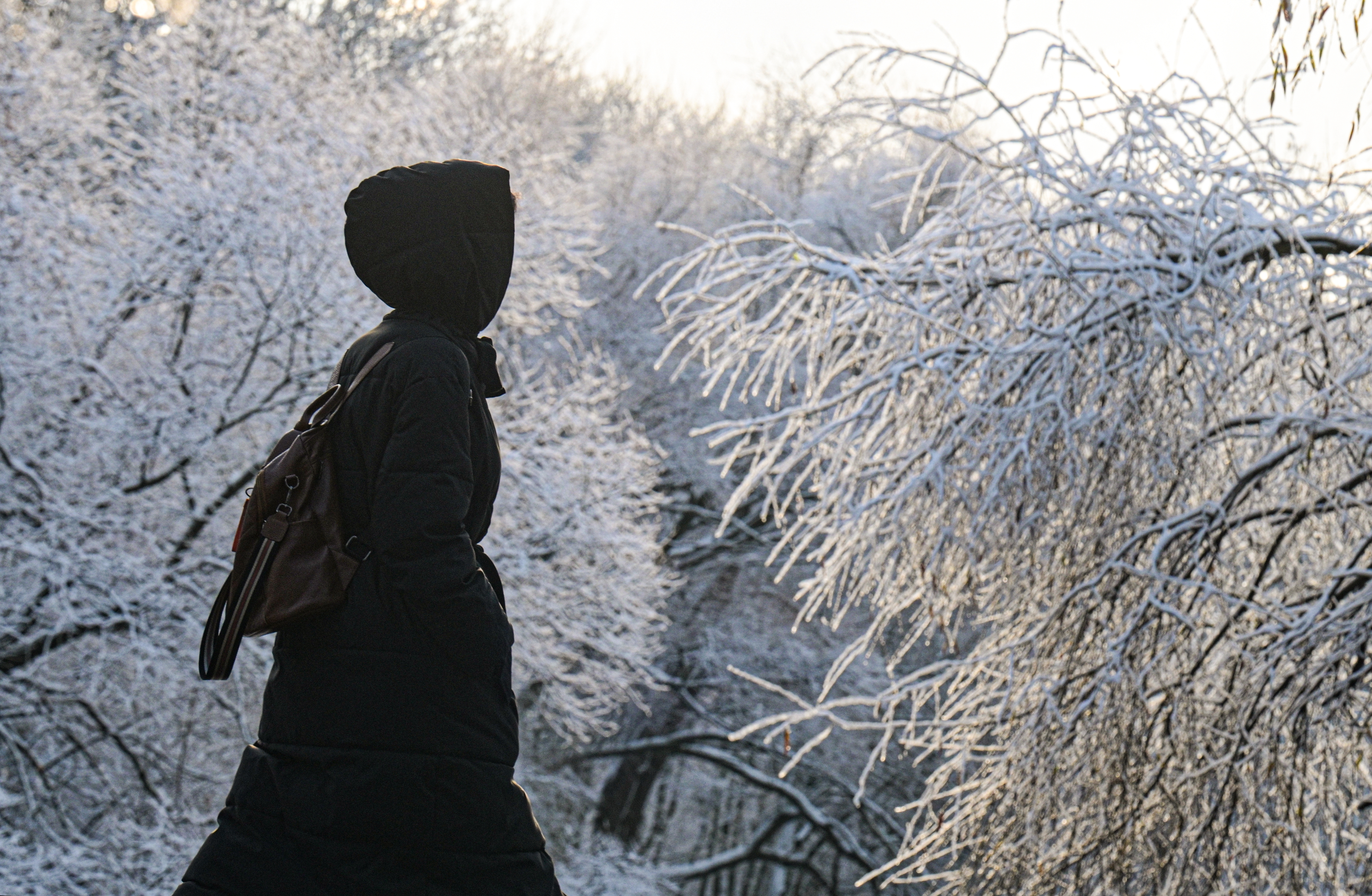 ���������&nbsp; ��������� �������� ����� ���