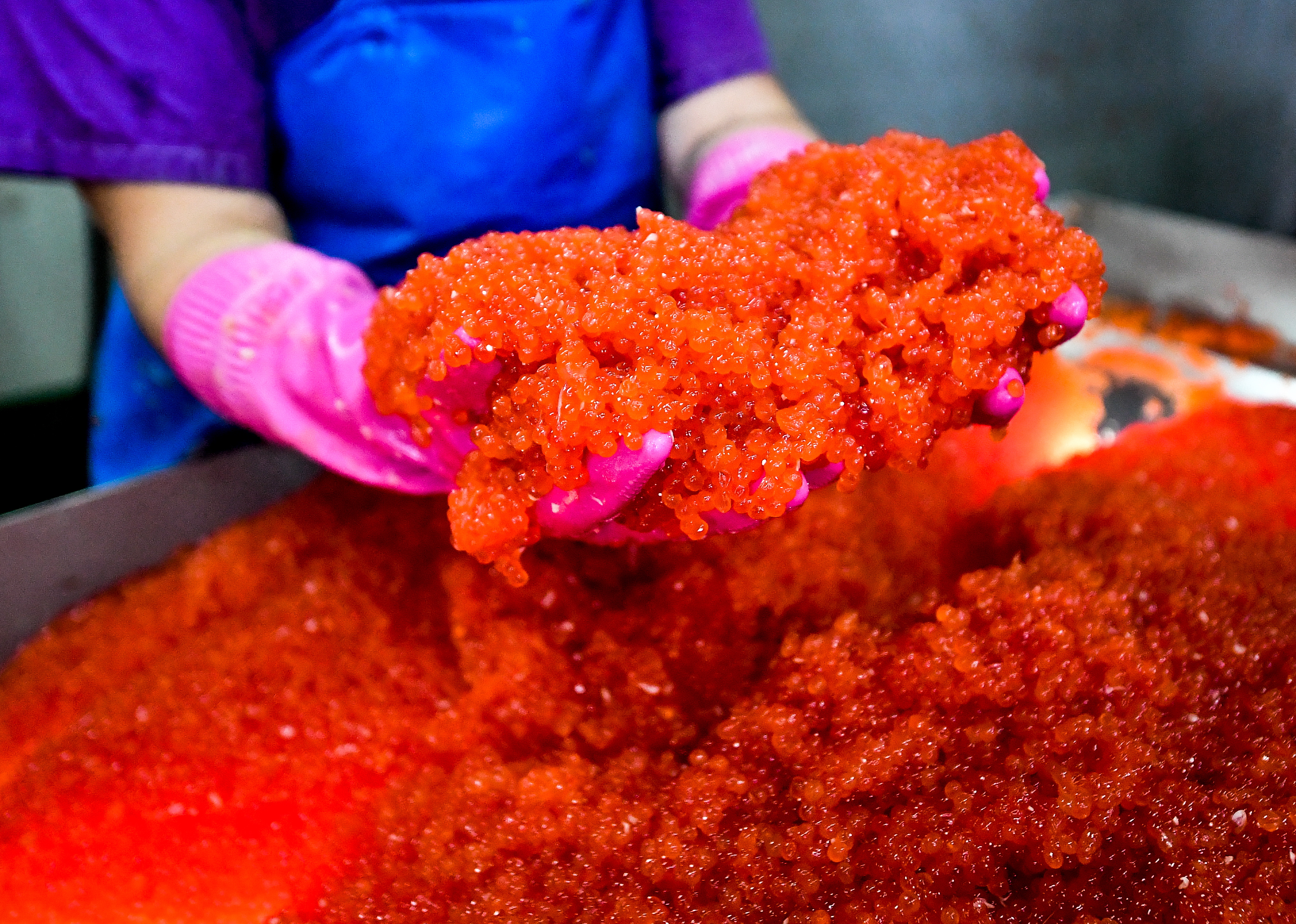 �������&nbsp; ��� ������� ��������� ���������� ����