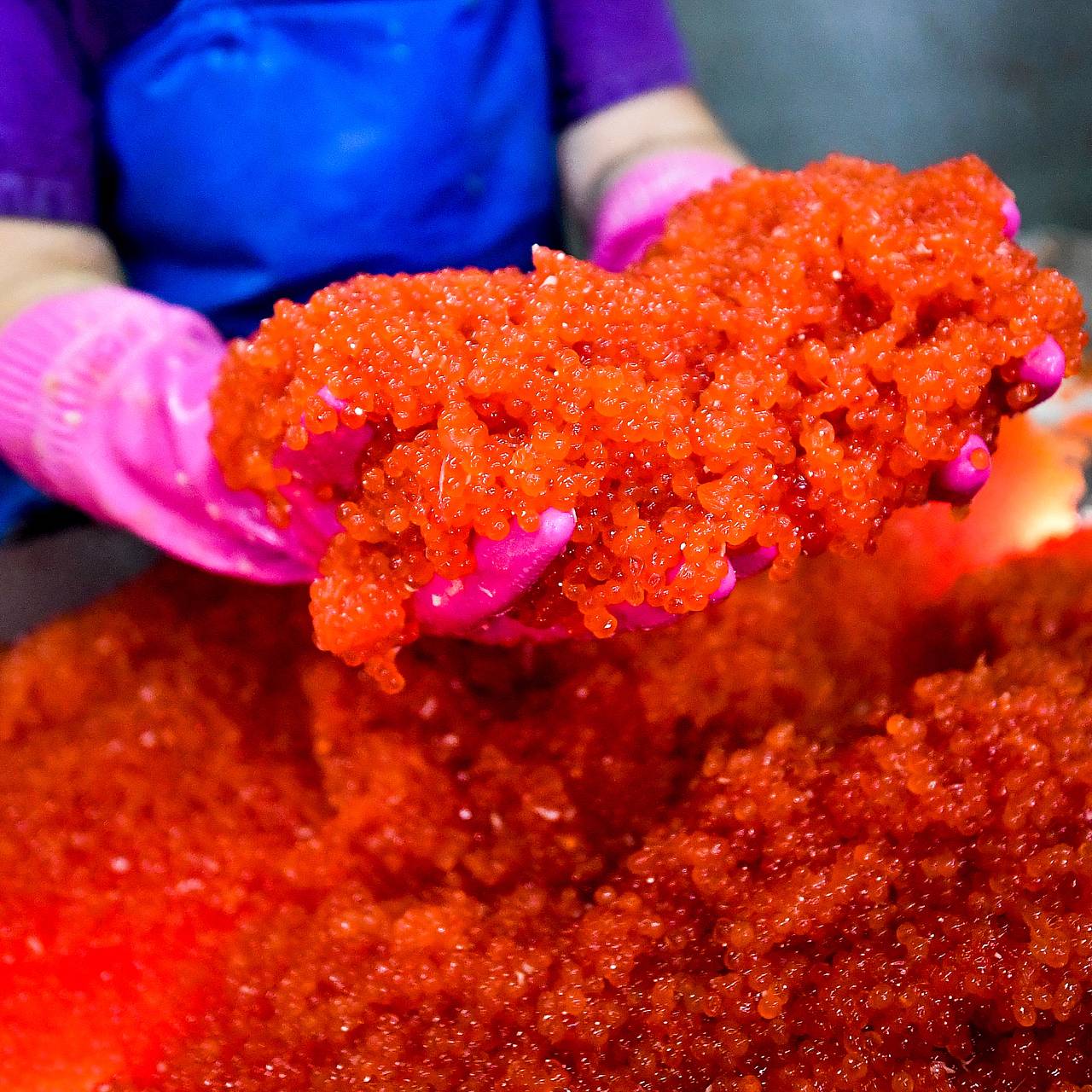 Названы три главных импортера российской икры