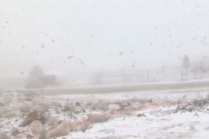 В пустыне в Саудовской Аравии выпал снег