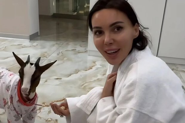 Вводная картинка