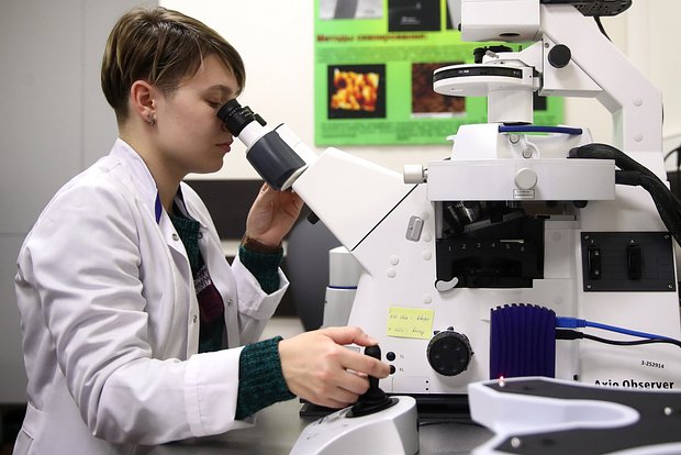 Вводная картинка