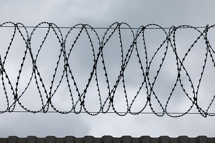 Курского школьника приговорили к семи годам колонии за попытку вступить в РДК