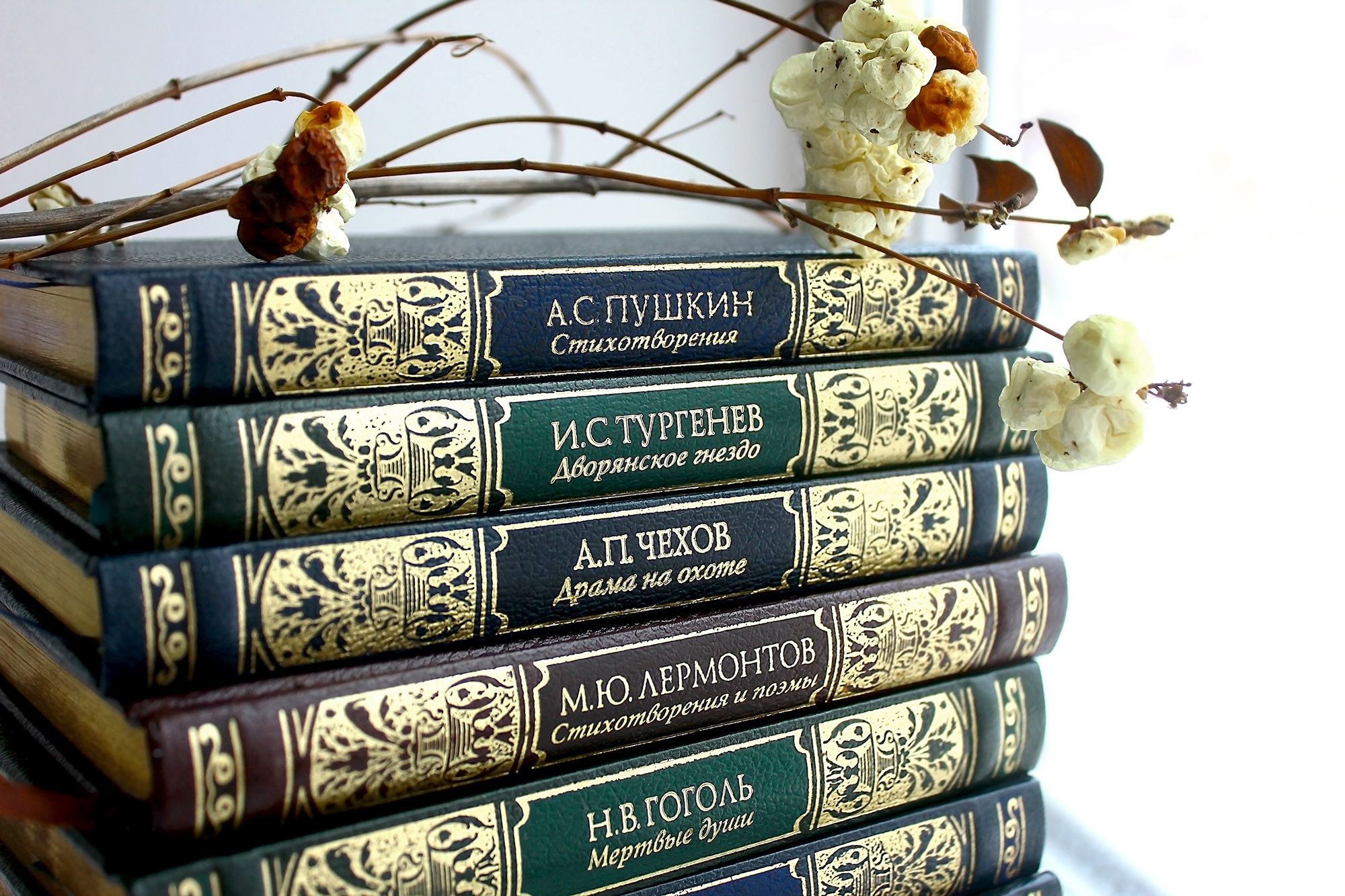 ����������&nbsp; �������� ������ ������ �������� ���� ������� �� �������