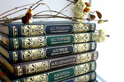 Российский хоккеист описал чтение &laquo;Мертвых душ&raquo; словами &laquo;я засыпал&raquo;