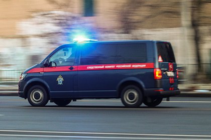 Возбуждено уголовное дело в связи с исчезновением четырех российских детей