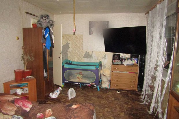 Вводная картинка