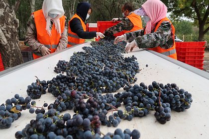 Китай нарастил до максимума поставки одного вида продукции в Россию