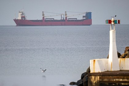 Швеция отпустила задержанный российский контейнеровоз