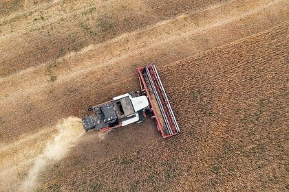 Доходы России от вывоза ключевой агрокультуры в Китай обвалились