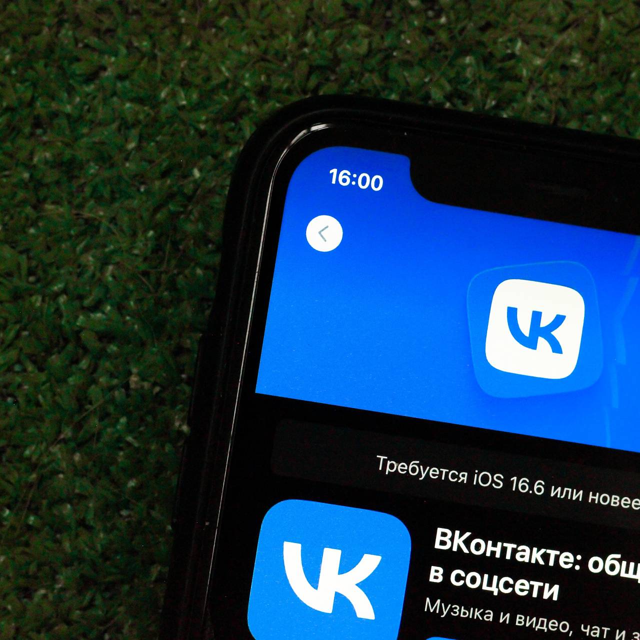 Названа самая популярная российская соцсеть