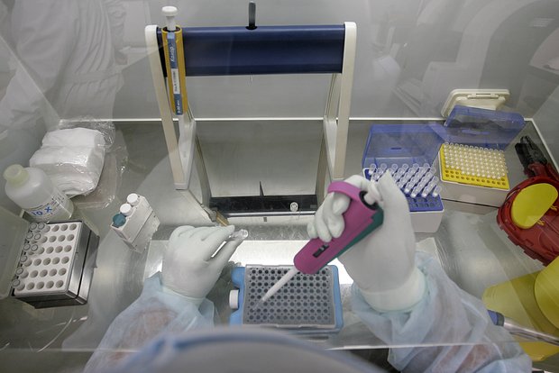 Эксперты успокаивают: новости о птичьем гриппе в России не повлияют на цены яиц