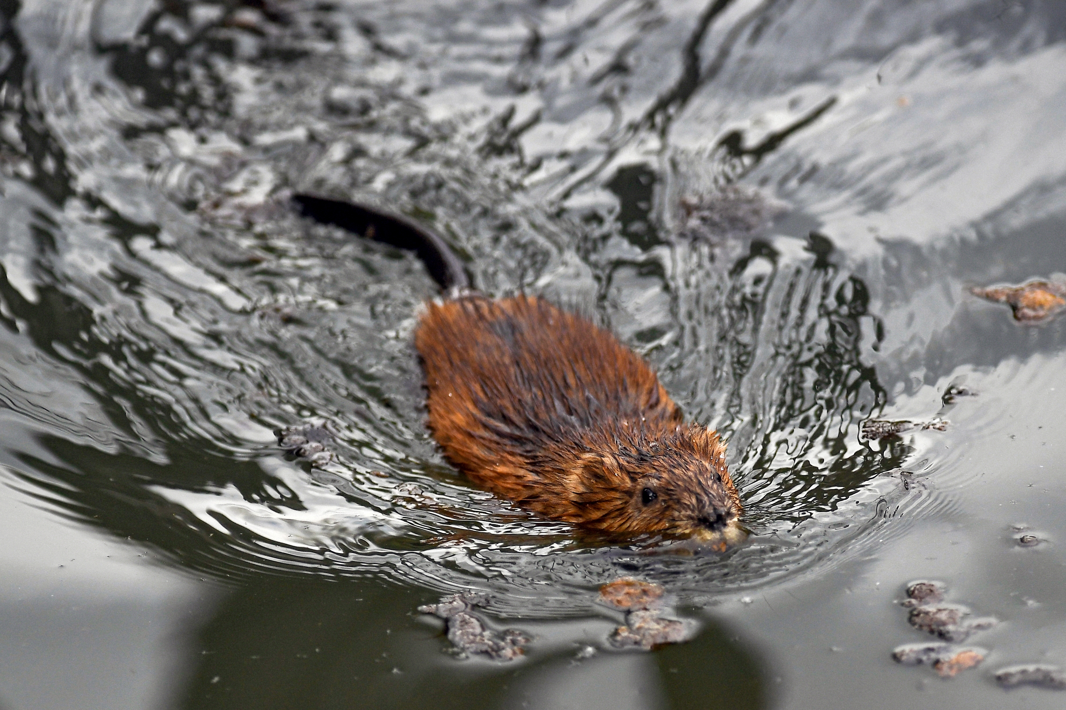 �&nbsp; ������ �������� � ������ � �������