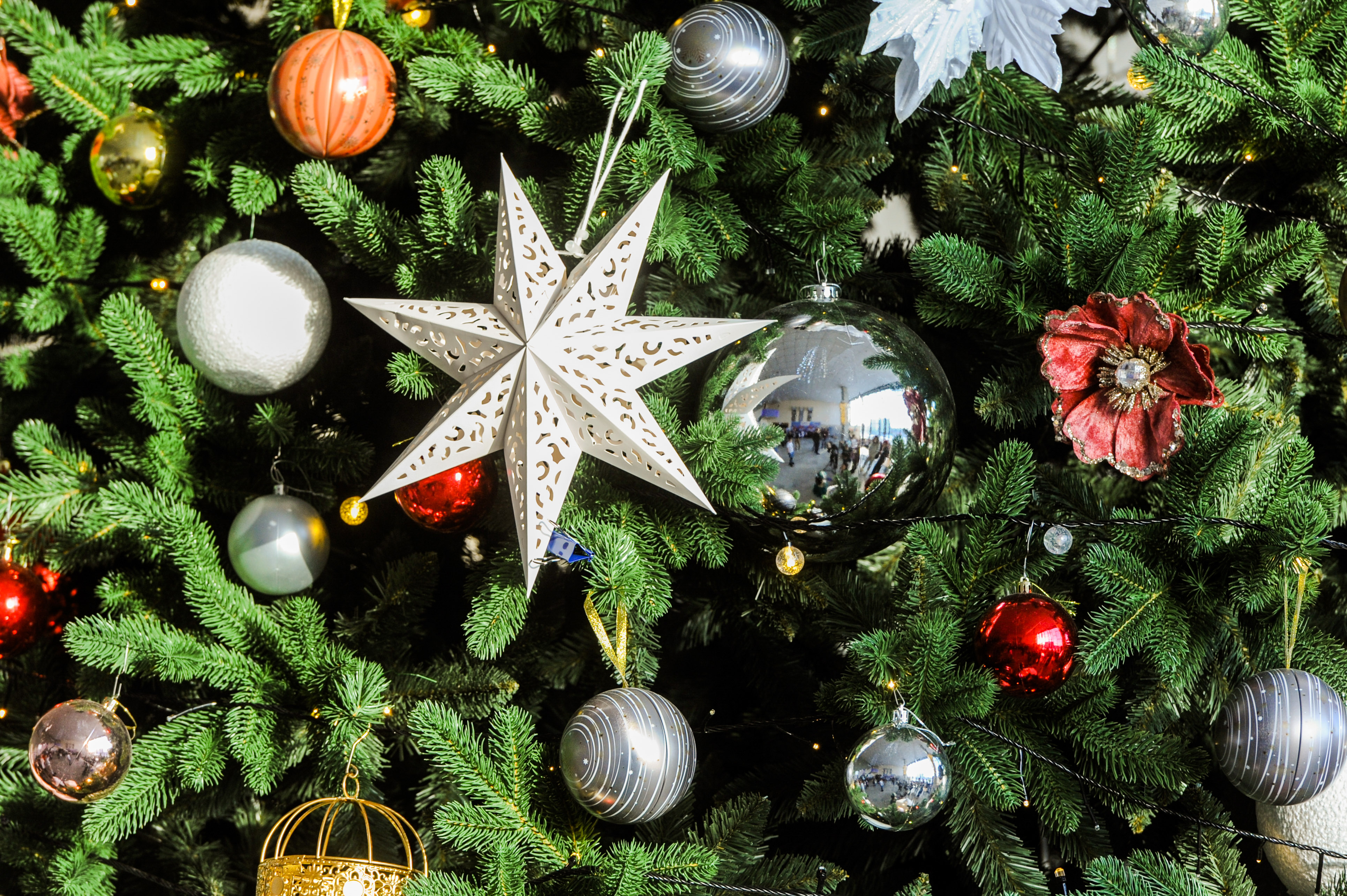 ����������&nbsp; ����� �������� ���������� ���� ��������� ������