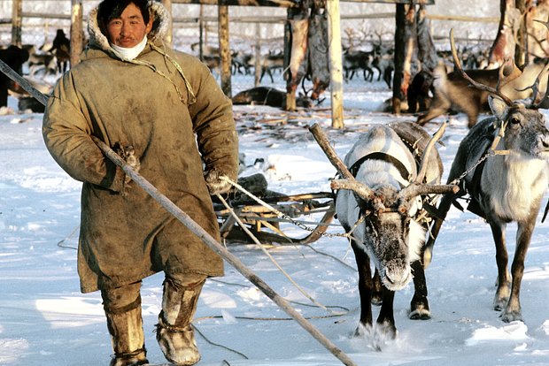 Вводная картинка