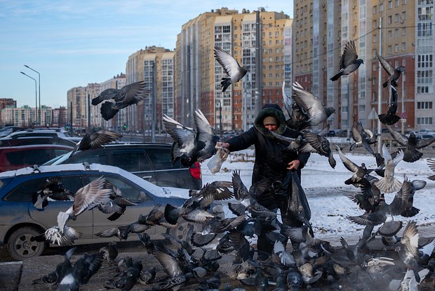 Вводная картинка