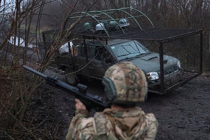 Стало известно о провале ВСУ в одном из лесов