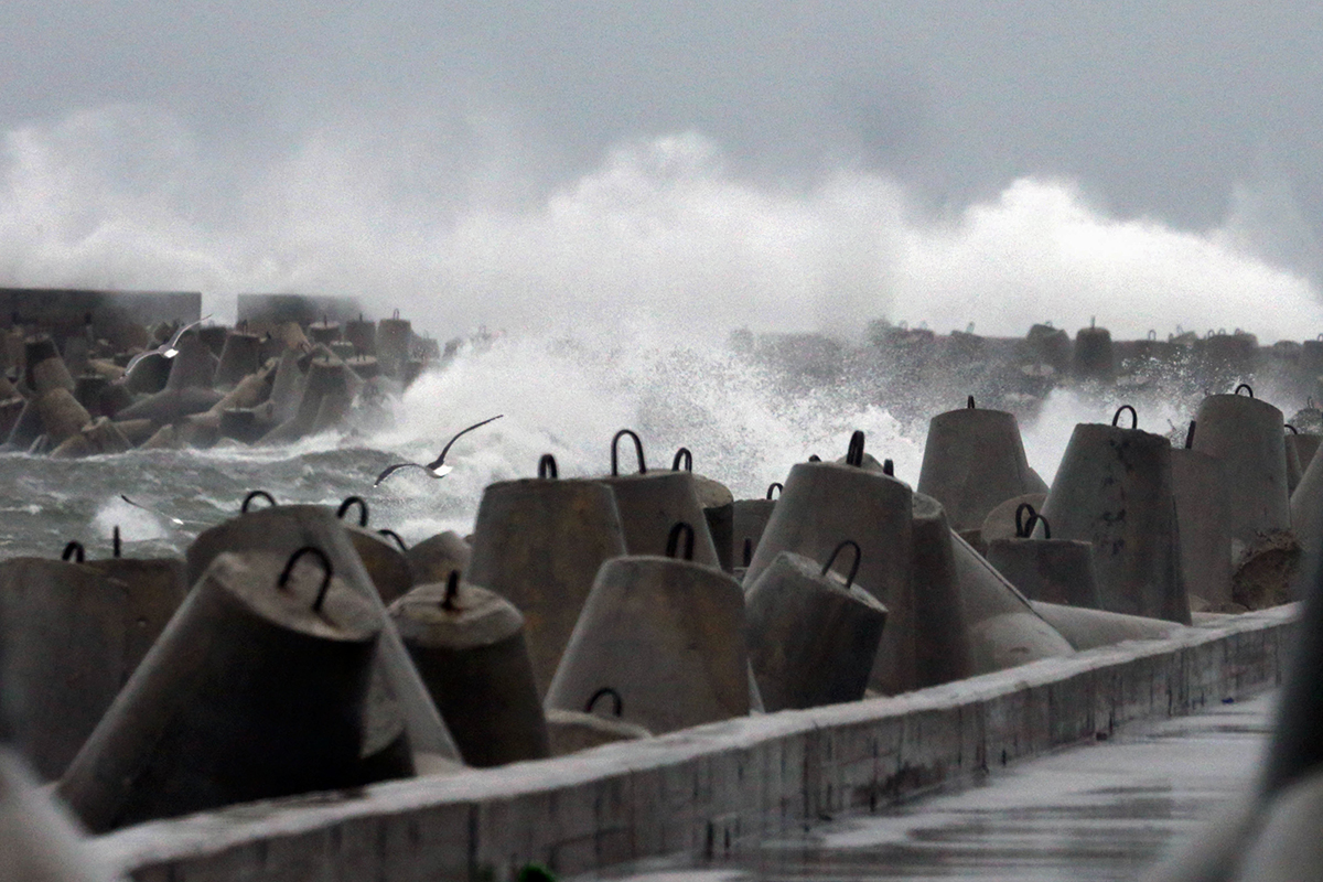 �������&nbsp; ����������� ������� ������������ �� �������