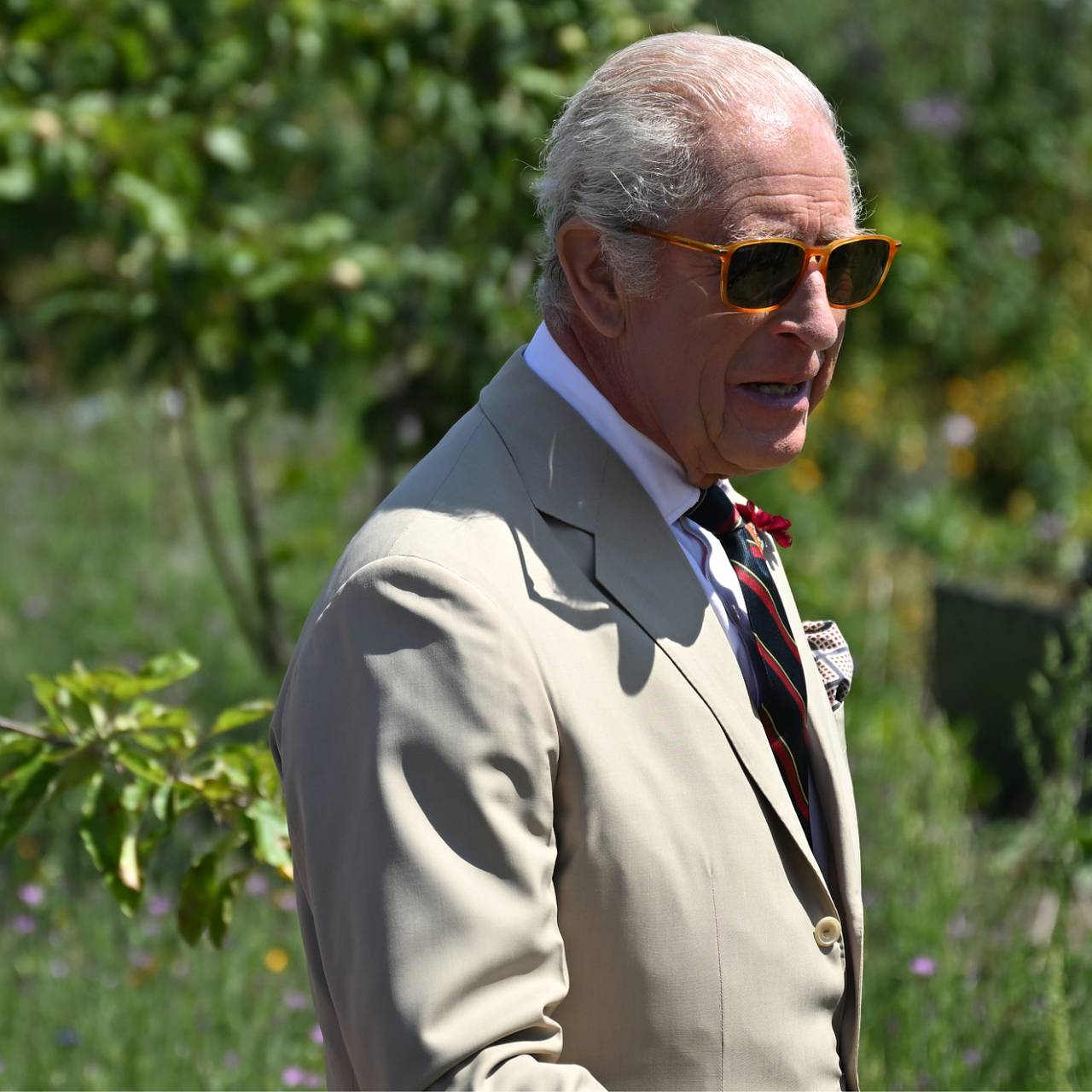 Карл III рассказал об отрезанных во время занятий садоводством кусочках пальцев