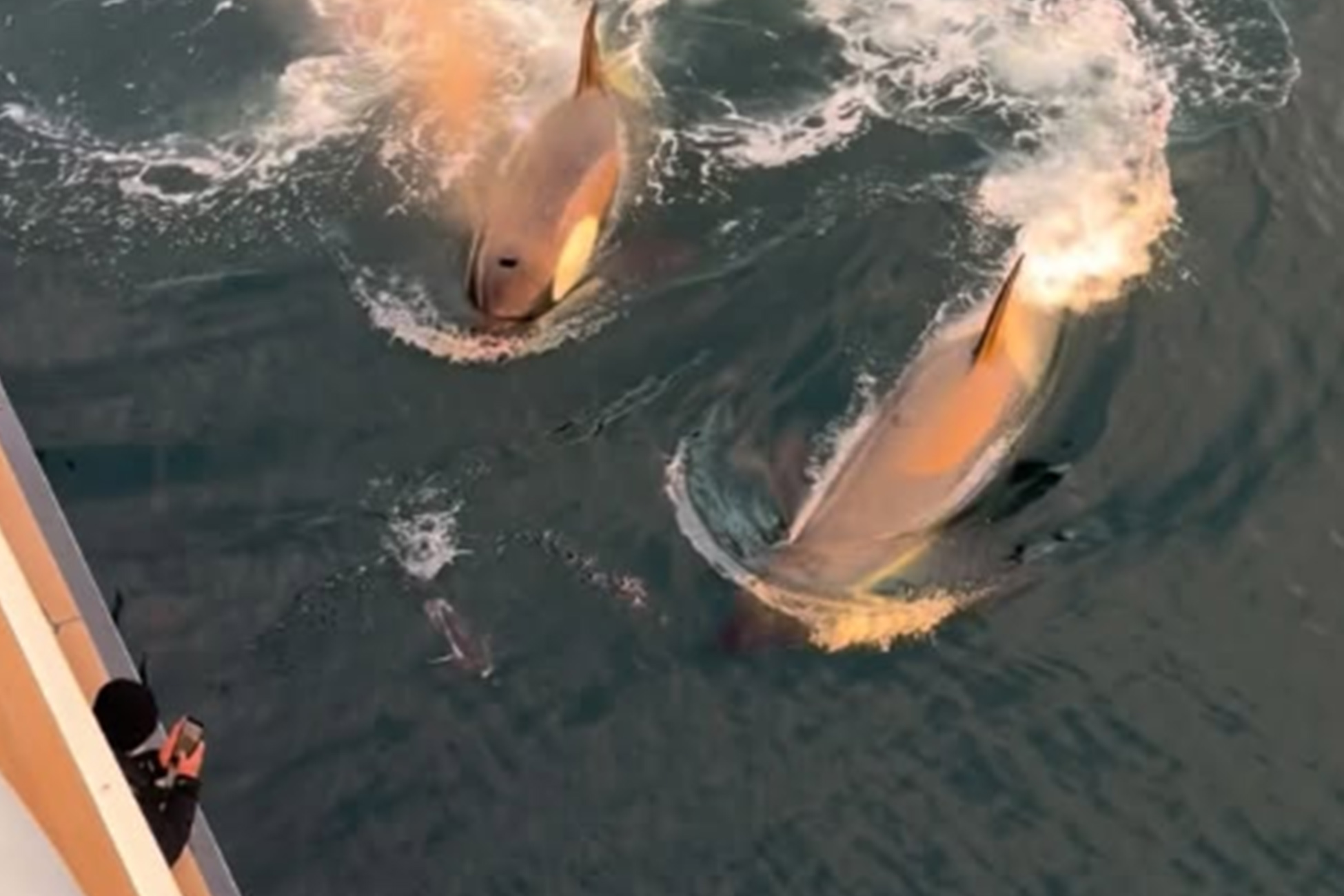 �����&nbsp; ����������� �����-����� �� �������� ������ �� �����