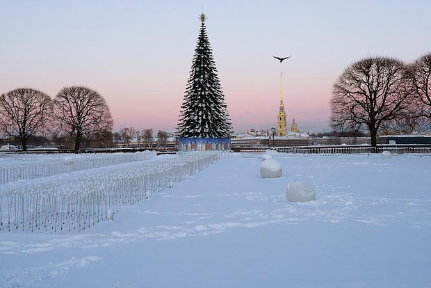 Вводная картинка