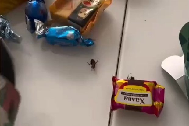 Вводная картинка