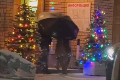 Окончательно покидающую квартиру Долину сняли на видео