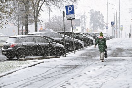 Москвичам рассказали о работе парковок и транспорта в Новый год
