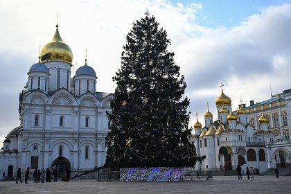 Названа цена самого дорогого жилья с видом на Кремль