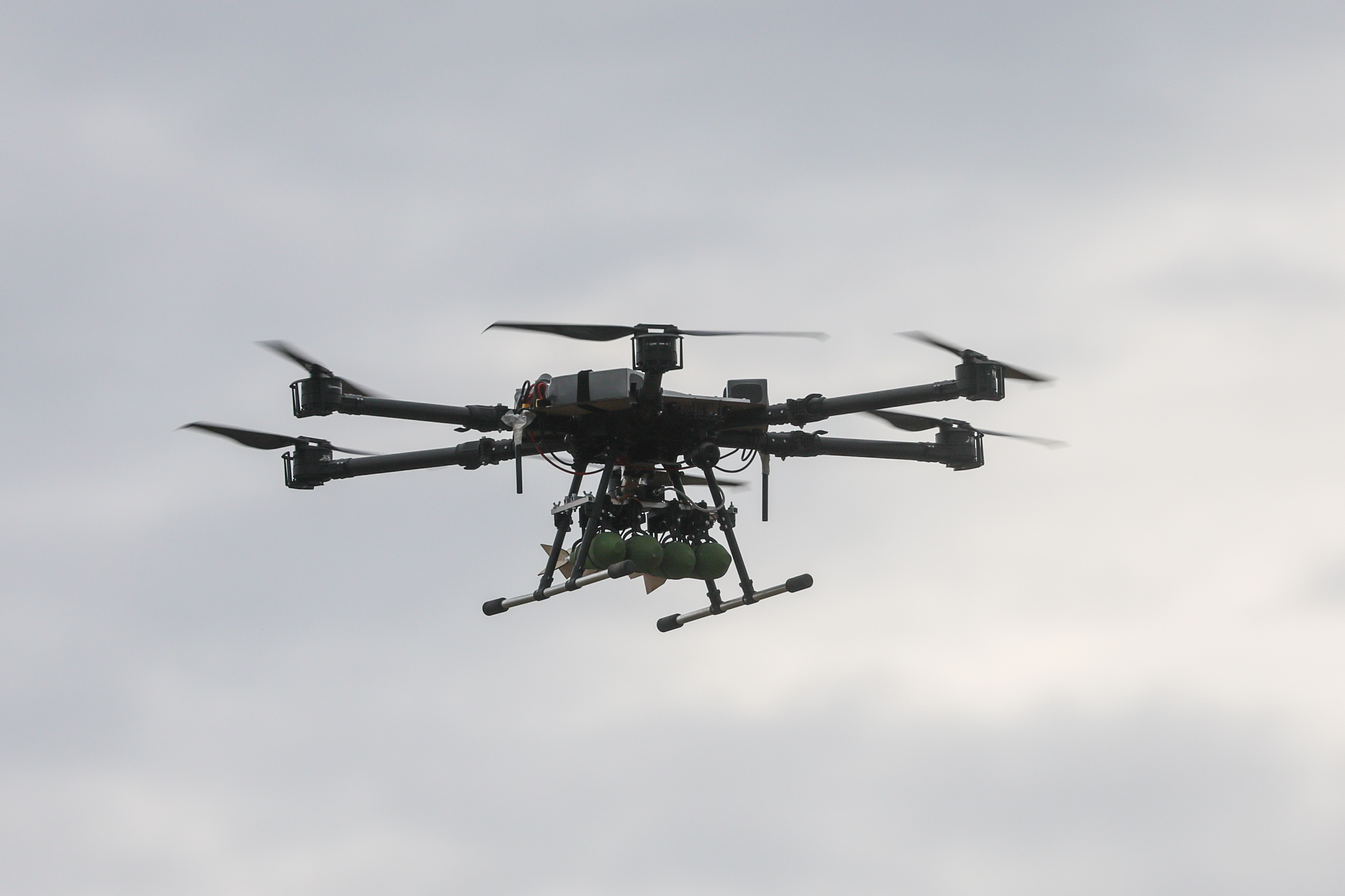 ����&nbsp; ���������� ������ ������ �� ���